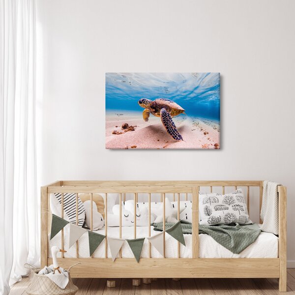 Obraz korytnačky v oceáne (90x60 cm)