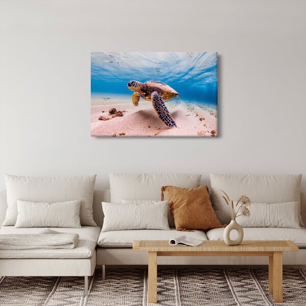 Obraz korytnačky v oceáne (90x60 cm)