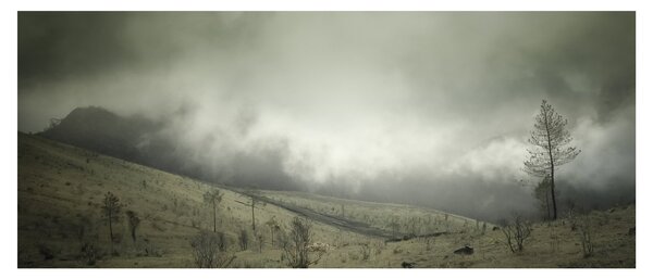 Obraz krajiny pred búrku (120x50 cm)