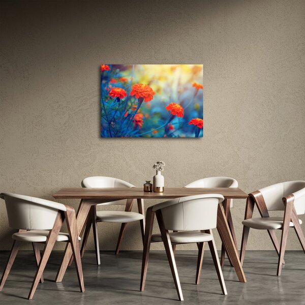 Obraz - Oranžové kvety (70x50 cm)