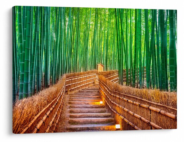 Obraz - Japonský bambusový les (70x50 cm)