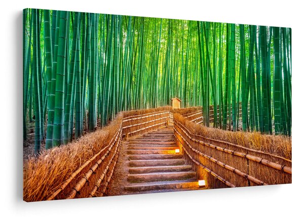 Obraz - Japonský bambusový les (90x60 cm)