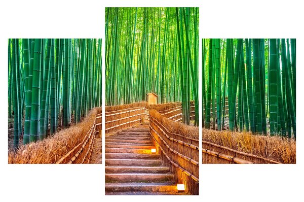 Obraz - Japonský bambusový les (90x60 cm)