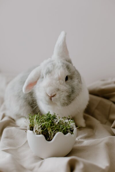 Keramická miska Happy Easter White – menší