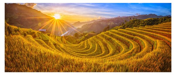 Obraz - Ryžové terasy vo Vietname (120x50 cm)