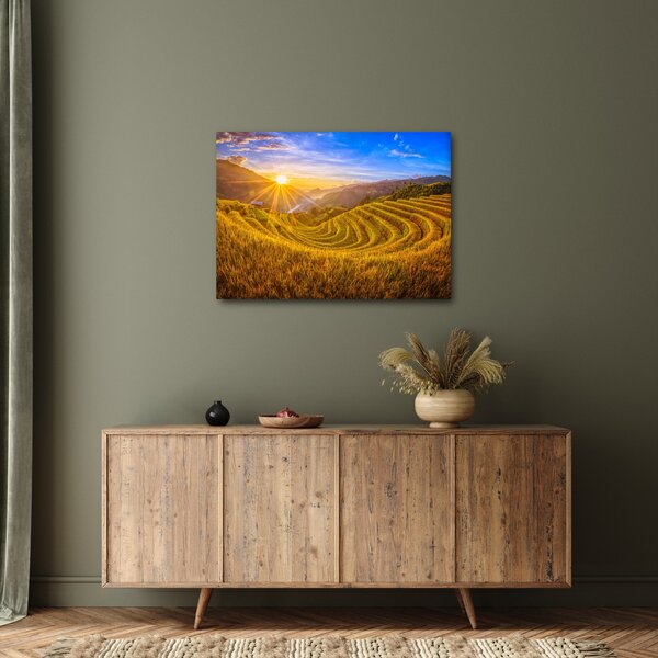 Obraz - Ryžové terasy vo Vietname (70x50 cm)