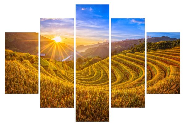 Obraz - Ryžové terasy vo Vietname (150x105 cm)