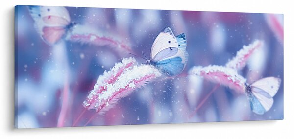 Obraz - Motýle v zime (120x50 cm)