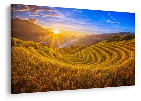 Obraz - Ryžové terasy vo Vietname (90x60 cm)