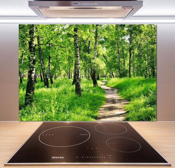 Dekoračný panel sklo Brezovy les pl-pksh-100x70-f-78692232