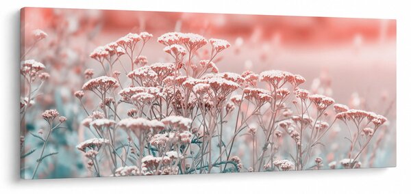 Obraz - Lúčne kvety (120x50 cm)