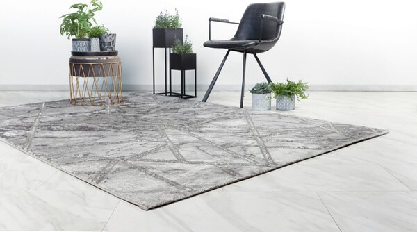 PLOCHO TKANÝ KOBEREC, 120/170 cm strieborná Kayoom - Online Only bytové doplnky, Online Only