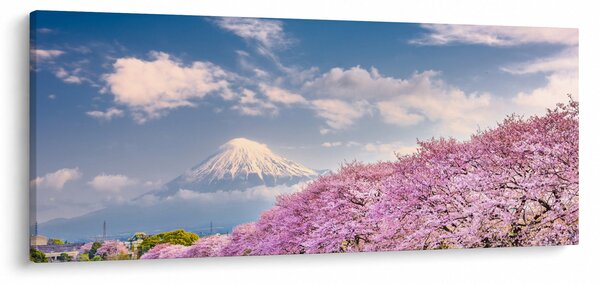 Obraz - Japonská jarná krajina (120x50 cm)