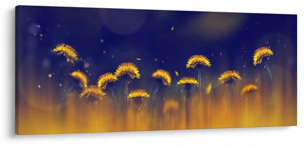 Obraz - Púpavy (120x50 cm)