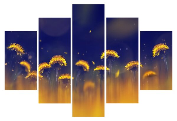 Obraz - Púpavy (150x105 cm)