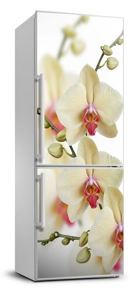 Nálepka fototapeta chladnička Orchidea