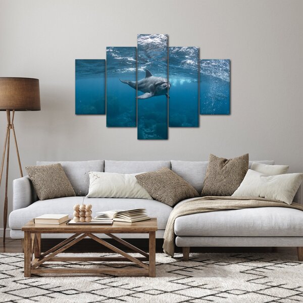 Obraz - Delfín pod hladinou (150x105 cm)
