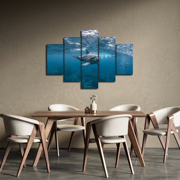 Obraz - Delfín pod hladinou (150x105 cm)