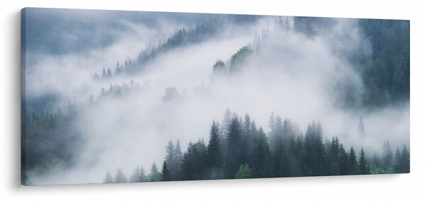 Obraz - Stromy v hmle (120x50 cm)