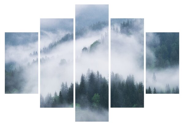 Obraz - Stromy v hmle (150x105 cm)