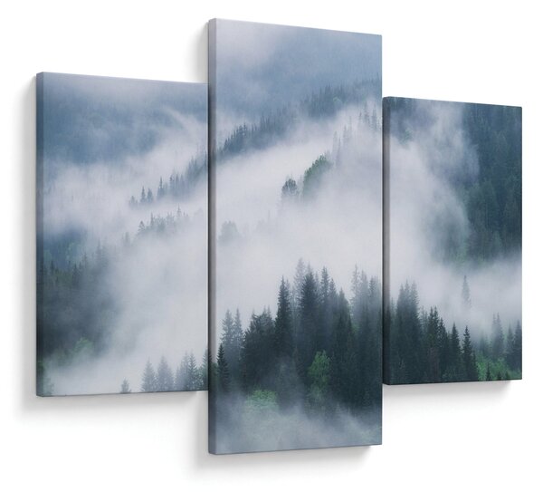 Obraz - Stromy v hmle (90x60 cm)