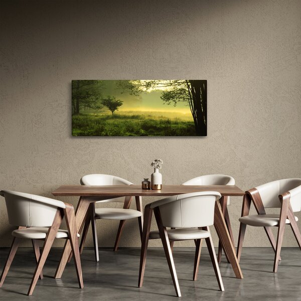 Obraz - Prebúdzajúci sa les (120x50 cm)
