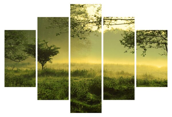 Obraz - Prebúdzajúci sa les (150x105 cm)