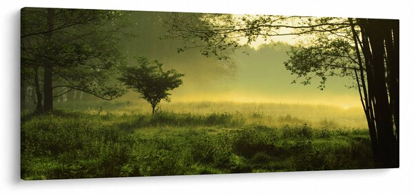 Obraz - Prebúdzajúci sa les (120x50 cm)