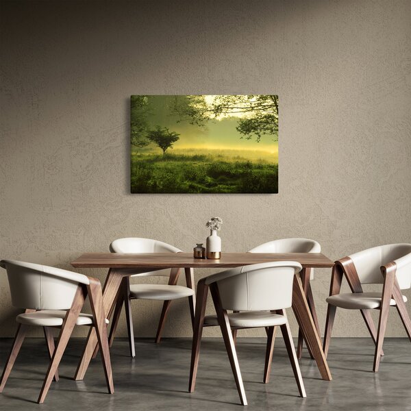 Obraz - Prebúdzajúci sa les (90x60 cm)