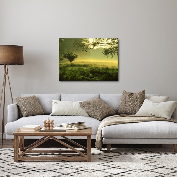 Obraz - Prebúdzajúci sa les (70x50 cm)