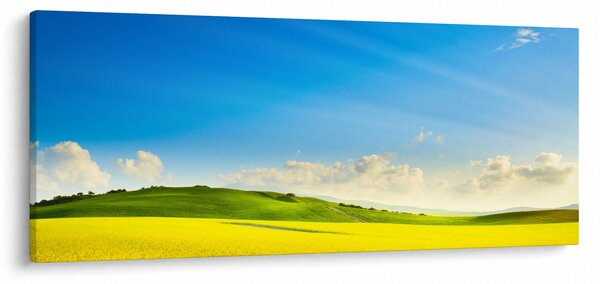 Obraz - Jarné nebo (120x50 cm)