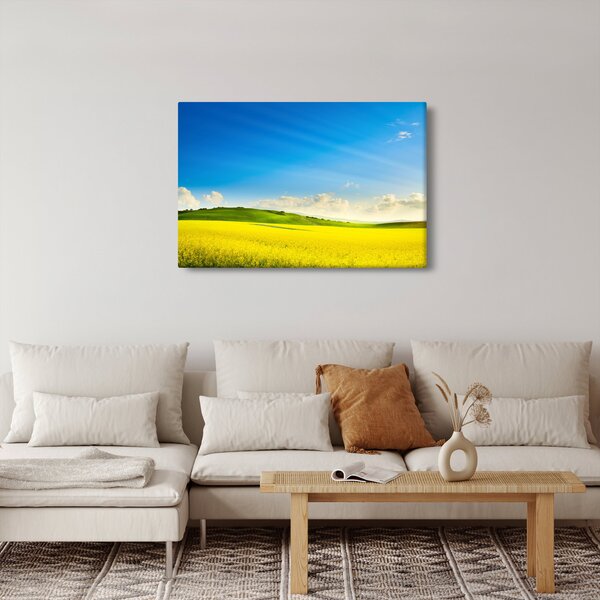 Obraz - Jarné nebo (90x60 cm)