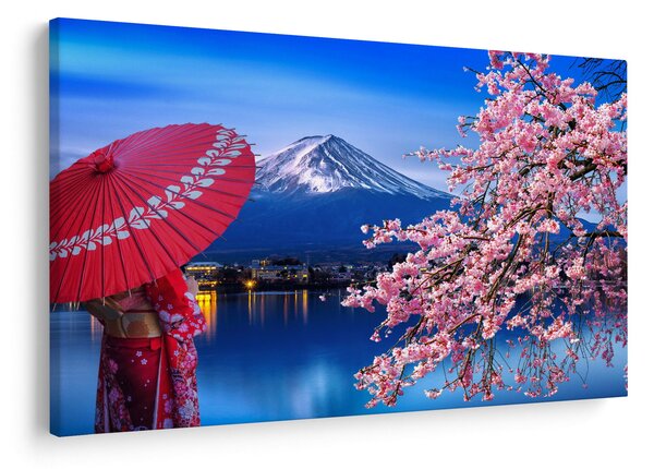Obraz - Výhľad na vrchol, Japonsko (90x60 cm)