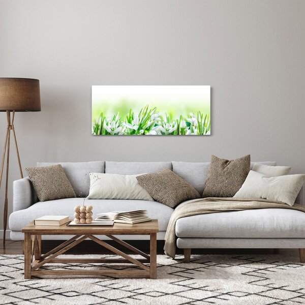 Obraz - Snežienky (120x50 cm)