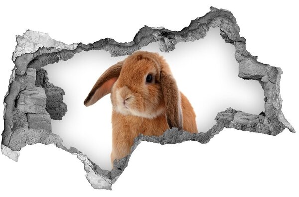 Diera 3D fototapeta nálepka Rudy králik nd-b-65984756