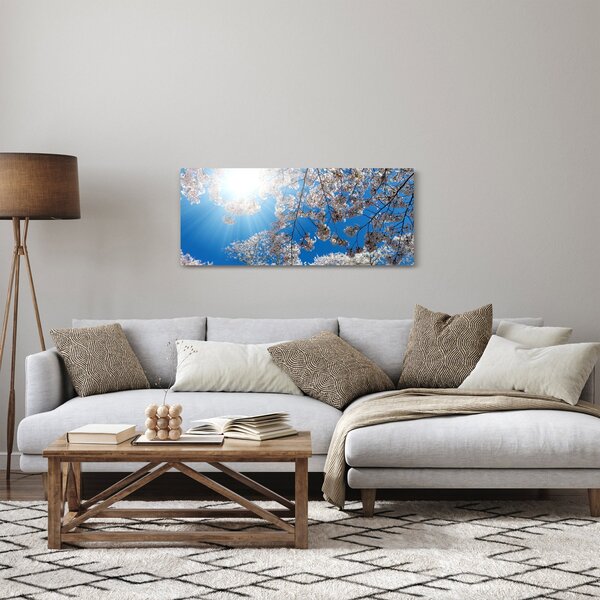 Obraz - Čerešňové kvety (120x50 cm)
