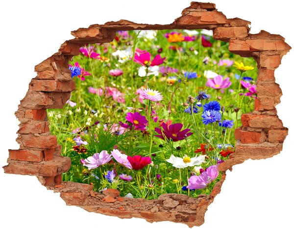 Nálepka diera na stenu Poľné kvety nd-c-169402975