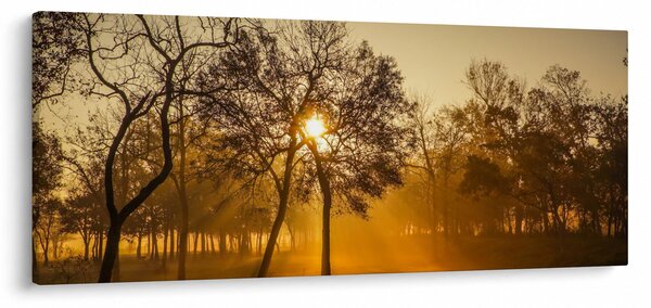 Obraz východu slnka (120x50 cm)
