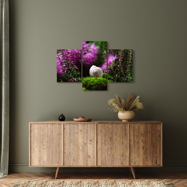 Obraz - Slimáková ulita (90x60 cm)