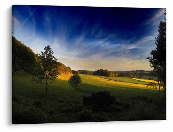 Obraz - Horská lúka (70x50 cm)
