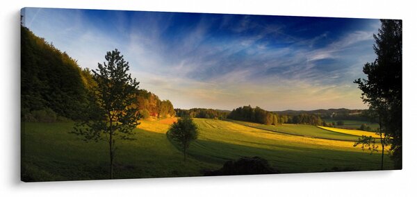 Obraz - Horská lúka (120x50 cm)