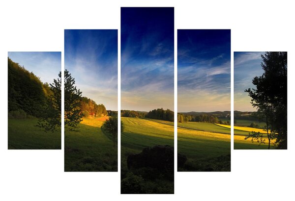 Obraz - Horská lúka (150x105 cm)