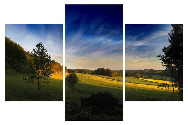 Obraz - Horská lúka (90x60 cm)