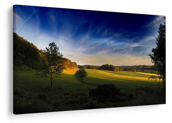 Obraz - Horská lúka (90x60 cm)