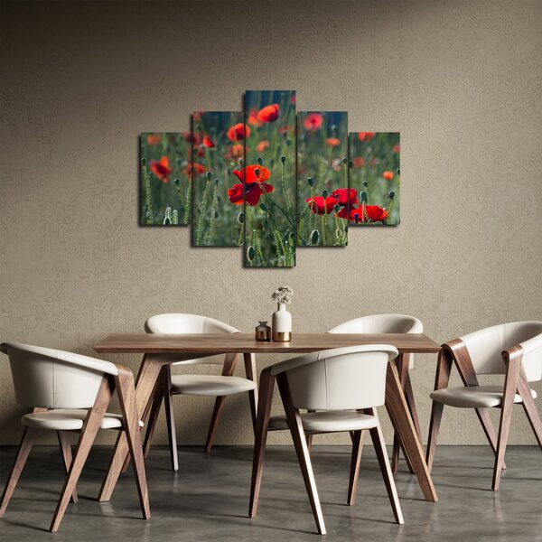 Obraz - Lúka s vlčími makmi (150x105 cm)