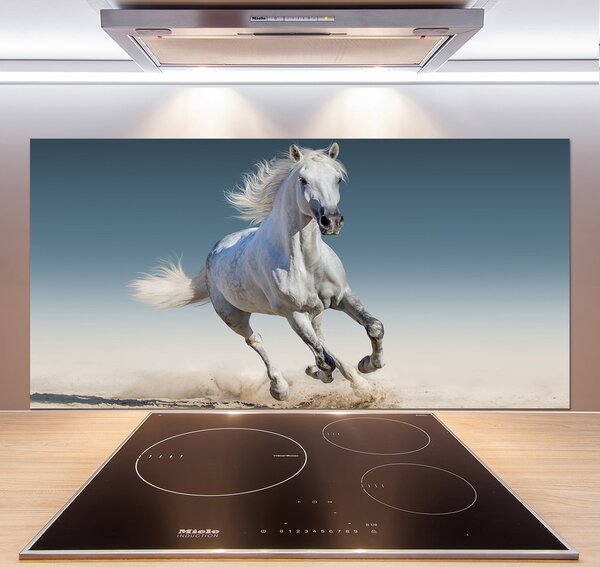 Panel lacobel Biely kôň v cvale pl-pksh-120x60-f-95257889