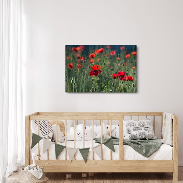 Obraz - Lúka s vlčími makmi (90x60 cm)
