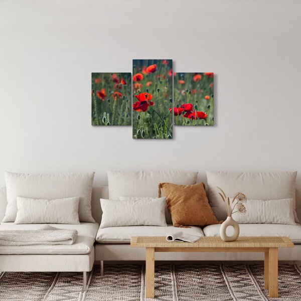 Obraz - Lúka s vlčími makmi (90x60 cm)