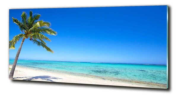 Fotoobraz na skle Tropická pláž