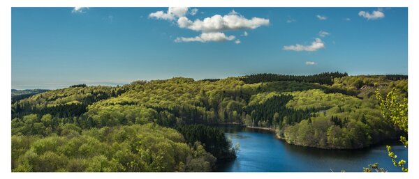 Obraz - Jazero v lesoch (120x50 cm)